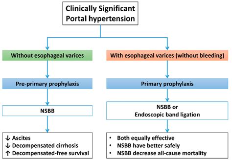 Beta Blocker For Esophageal Varices Explained.